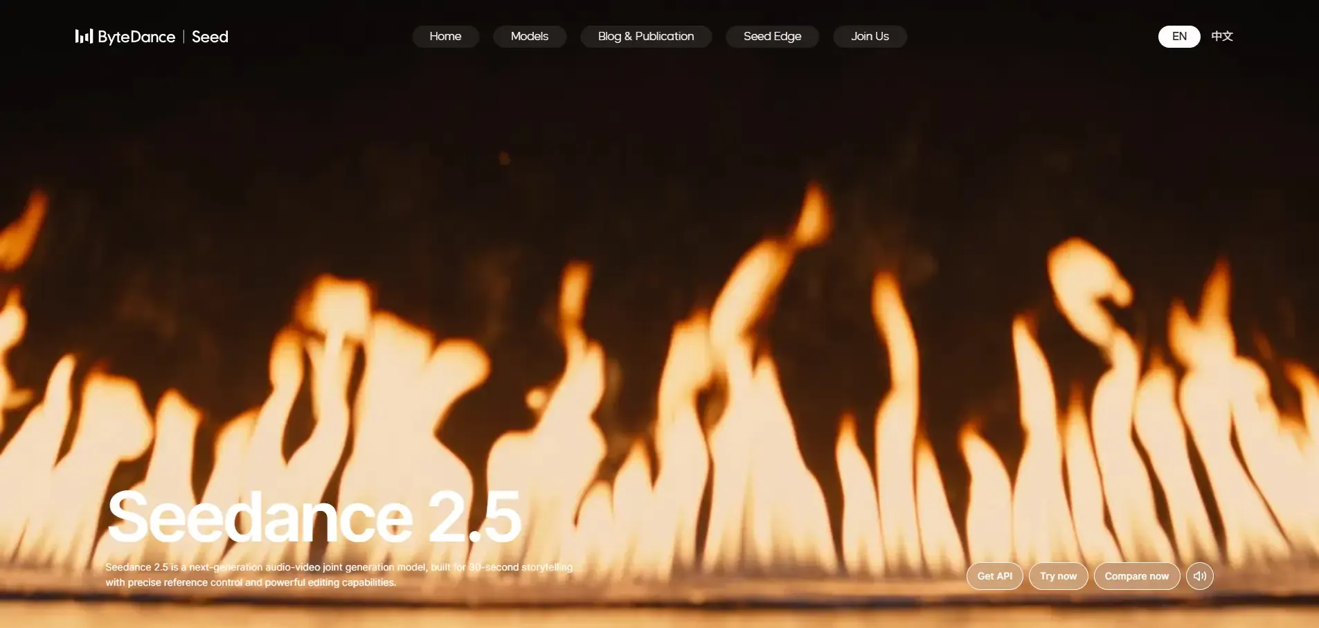 Seedance 2.5