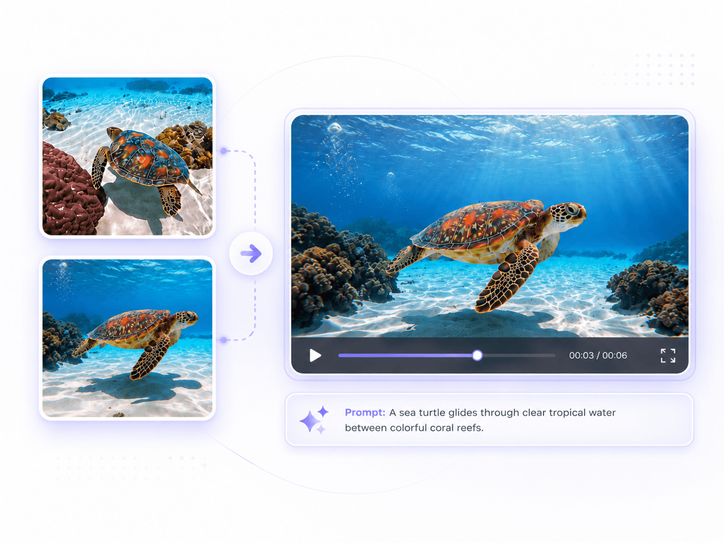 Create Videos with More Control from Multiple Images